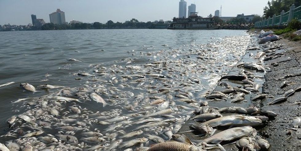 Water Pollution Can Reduce Economic Growth: World Bank