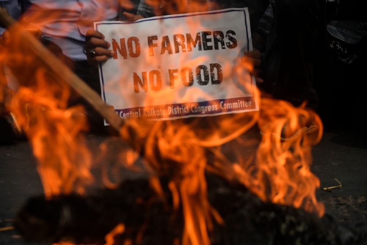 India likely to amend farm reform to end protests