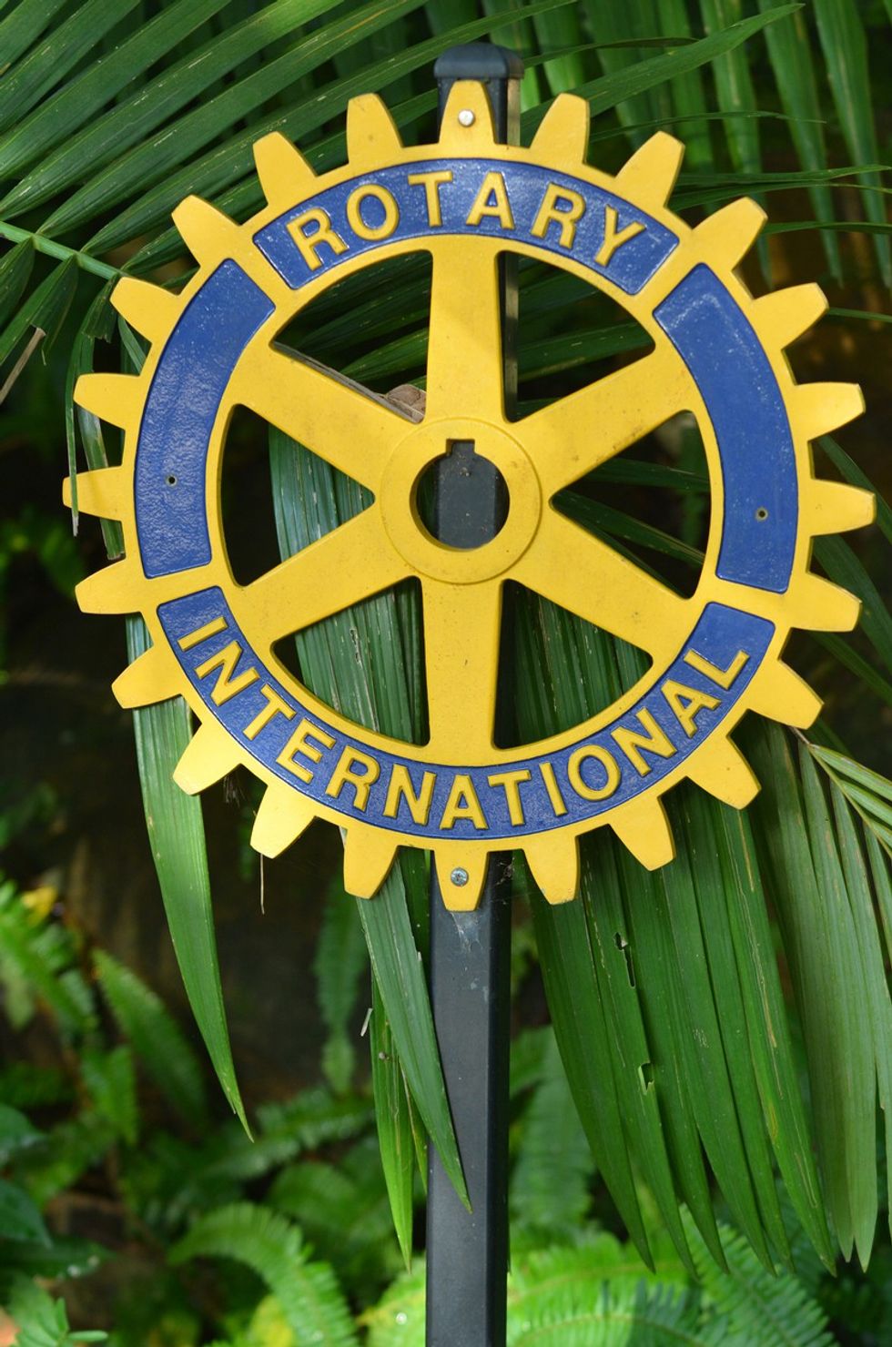 Covid-19: Rotary to enable deployment and monitoring support at healthcare facilities