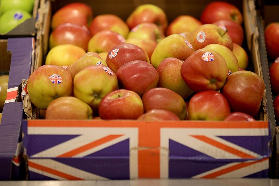 UK minister elated as British apples get exported to India for first time in 50 years