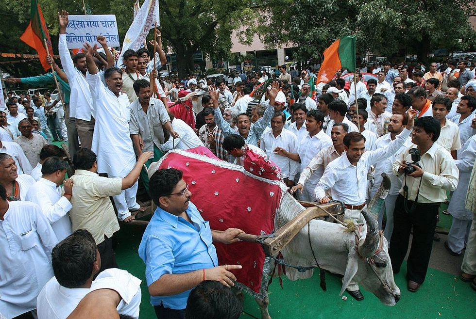 India's political tradition: Using bullock carts to protest fuel price rise