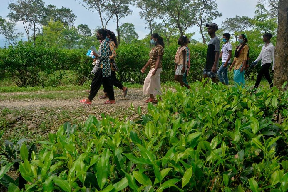 Pandemic will worsen India's education inequalities: Experts