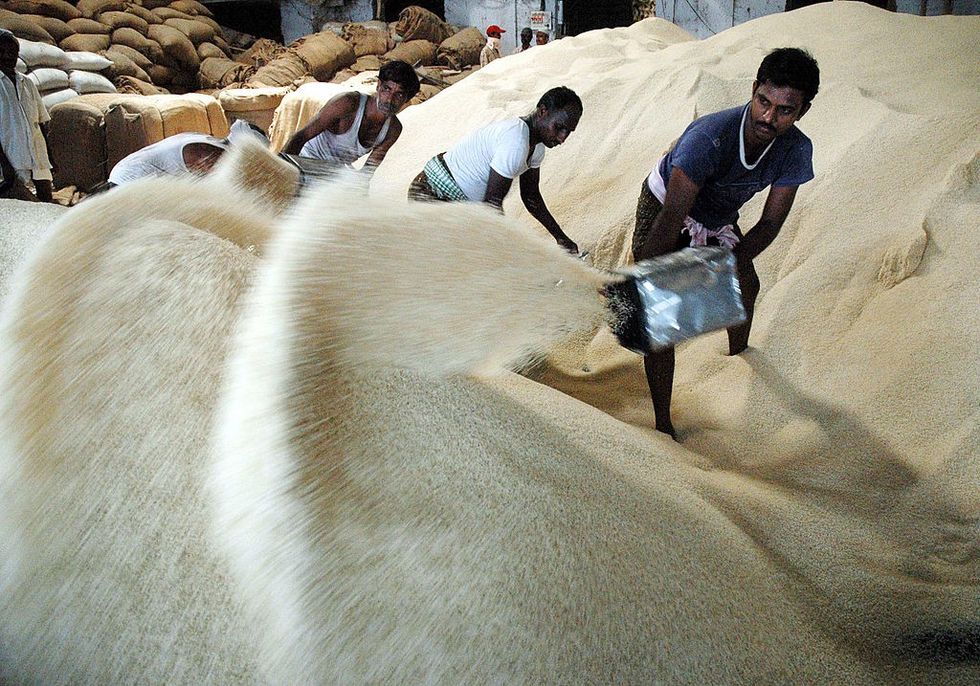 India exports grew by over 50% in August first week