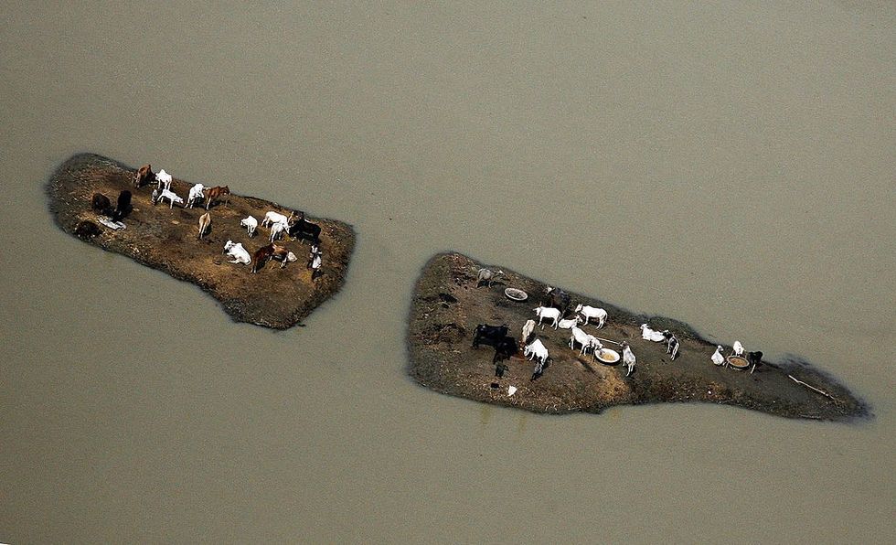 North-east India: Floods threaten hundreds of thousands