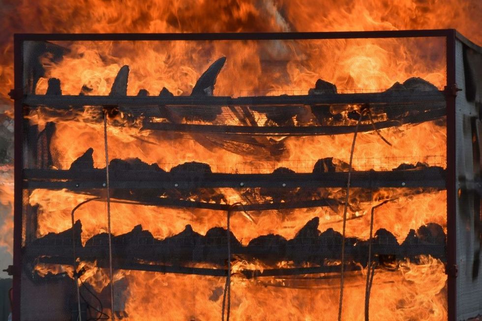 Why Assam burned 2,479 rhino horns on World Rhino Day