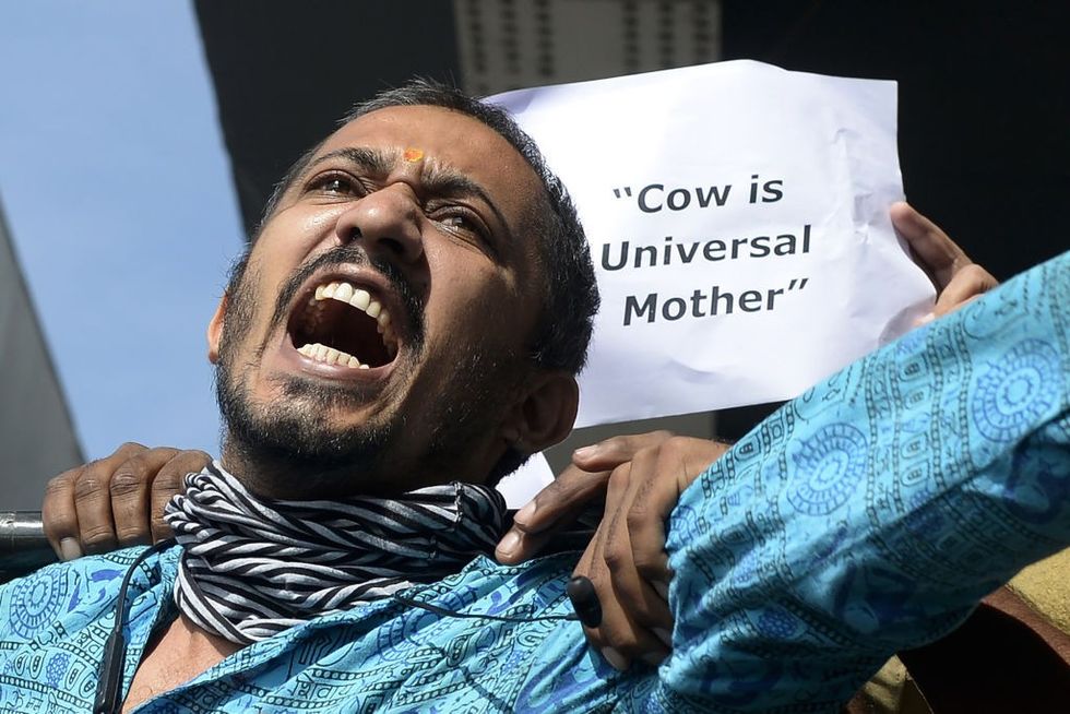 Indian retailer Fabindia slammed over 'anti-Hindu' ad