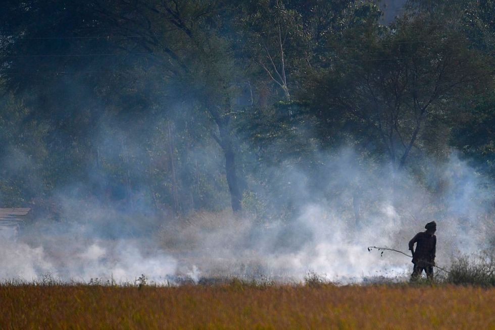 Delhi pollution: Modi govt asked to hold emergency meet