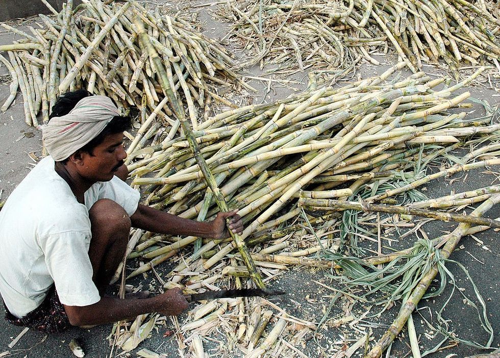 India's boosting ethanol could hit global sugar supply