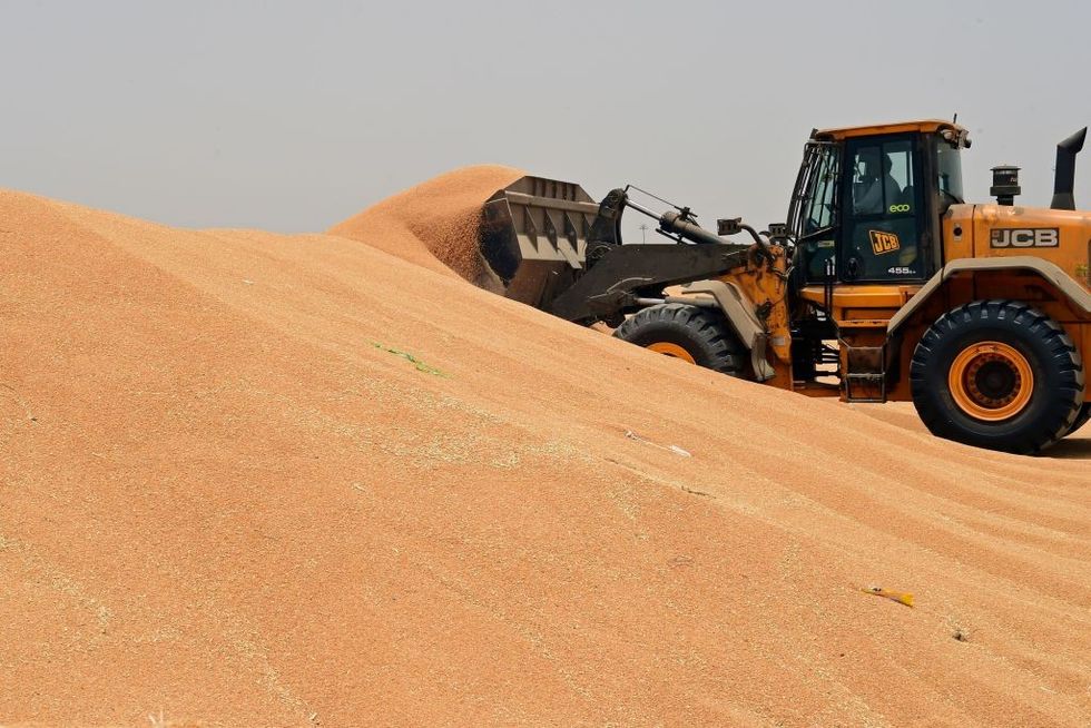 India to impose flour export curbs to tackle global wheat crisis