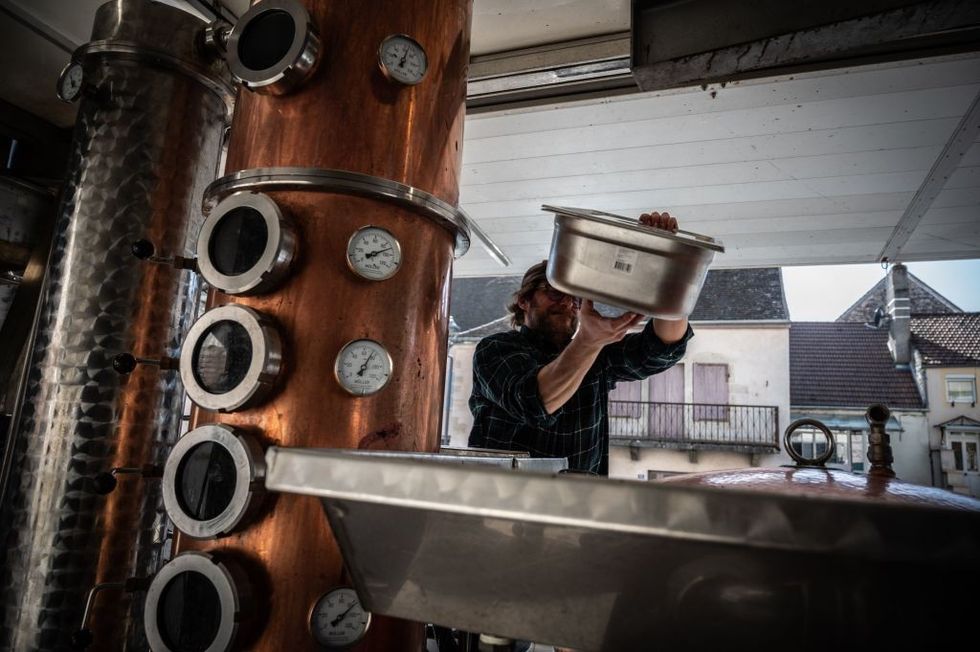 Know why French spirits group Pernod Ricard has put new India investments on hold