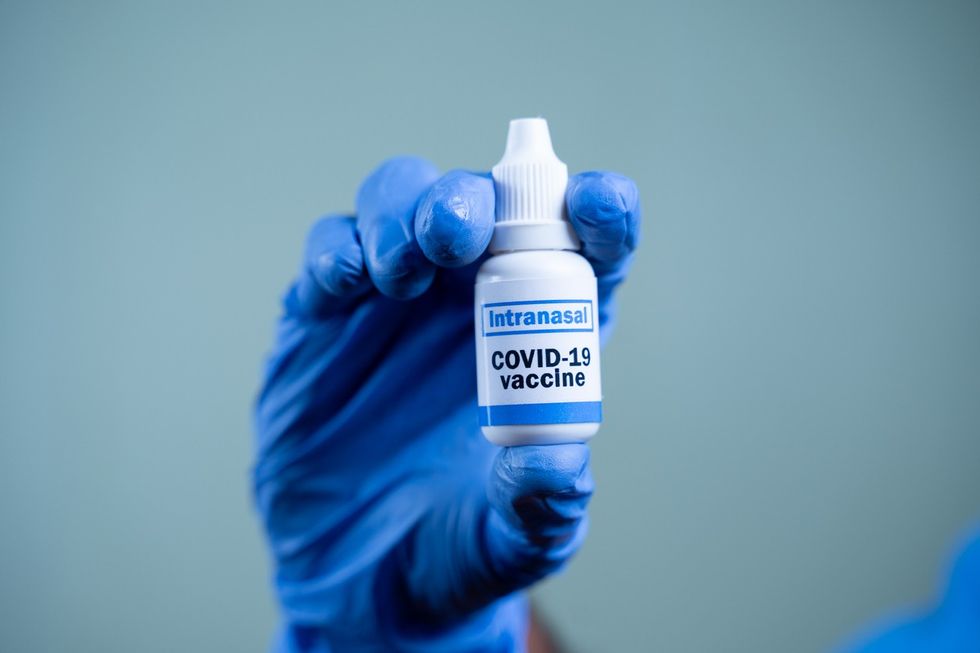 India approves intranasal Covid-19 vaccine for limited emergency use for 18 above
