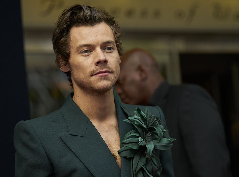 Harry Styles hit with a bottle in groin during Chicago concert