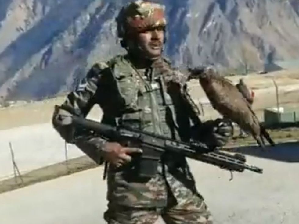 WATCH: Indian Army deploys predator birds to hunt down enemy drones