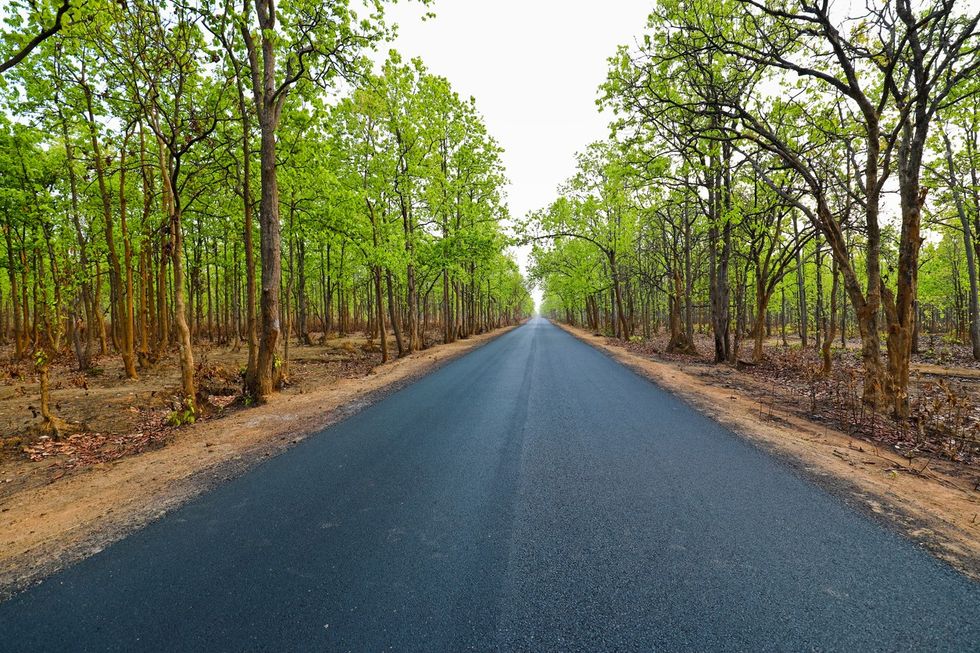 India will have to invest significant GDP share to improve rural roads access: IMF