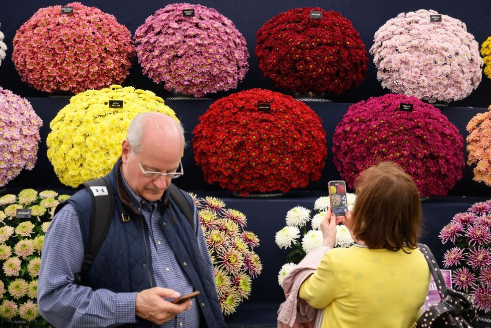 A spectacular showcase: Exploring the gardens at Chelsea Flower Show 2023