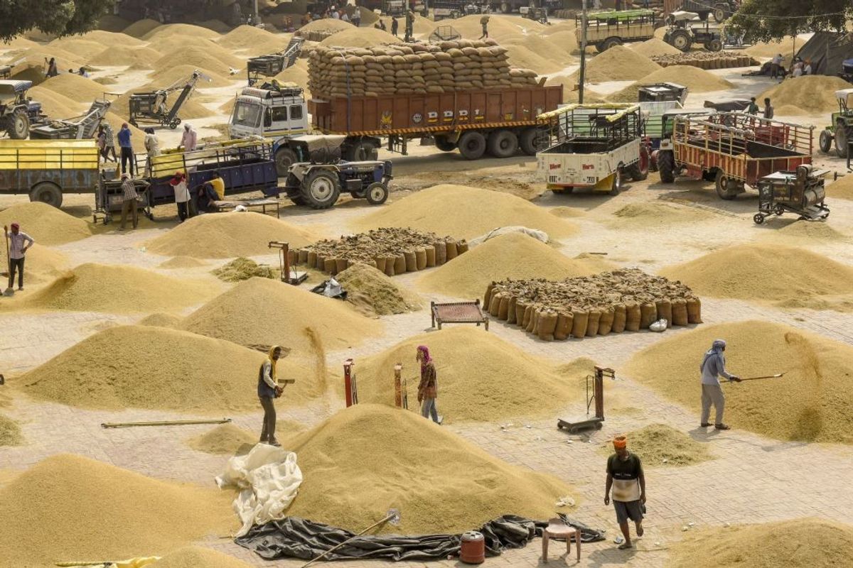 India’s export ban and looming El Niño pose major threat to global rice stocks