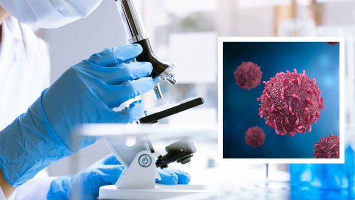 Breakthrough cancer drug: Early study reveals pill’s ability to annihilate all solid tumours