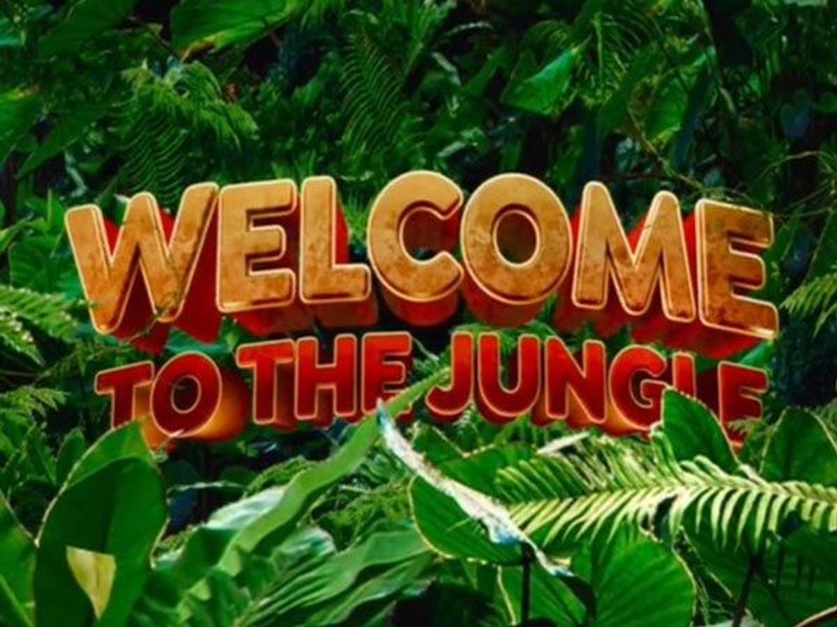 Akshay Kumar announces his next ‘Welcome To The Jungle’