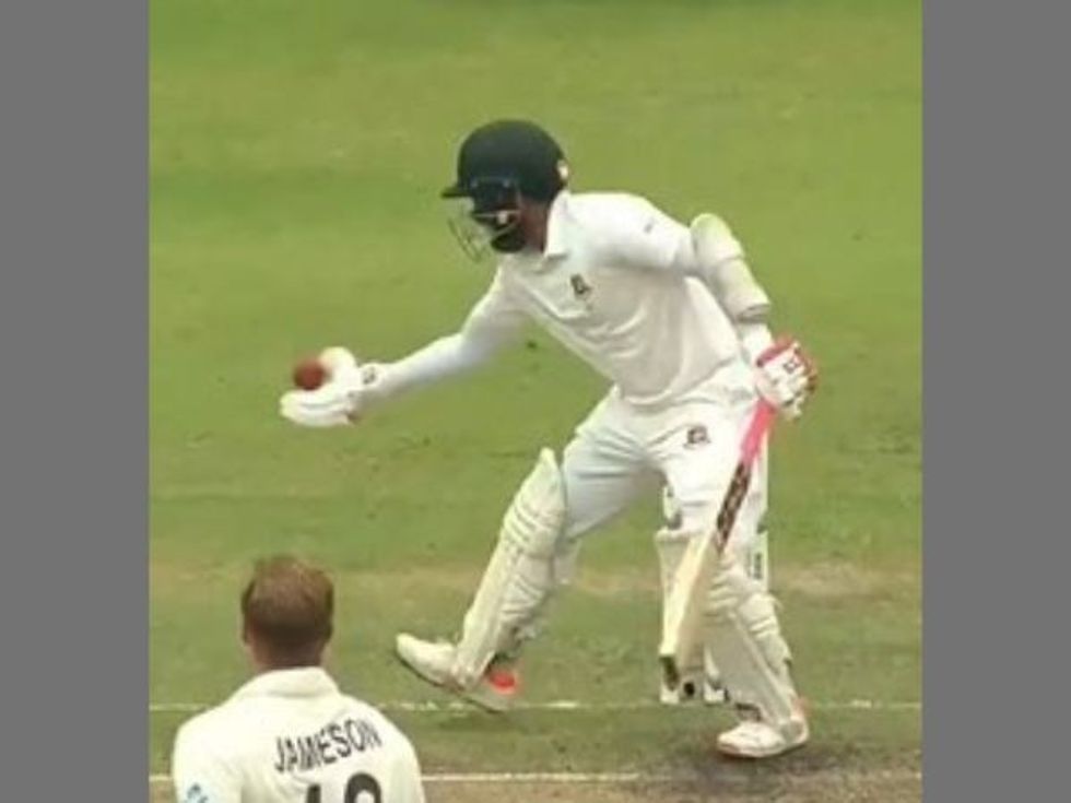 After World Cup timed-out drama, Bangladesh batter gets out for 'handling the ball'