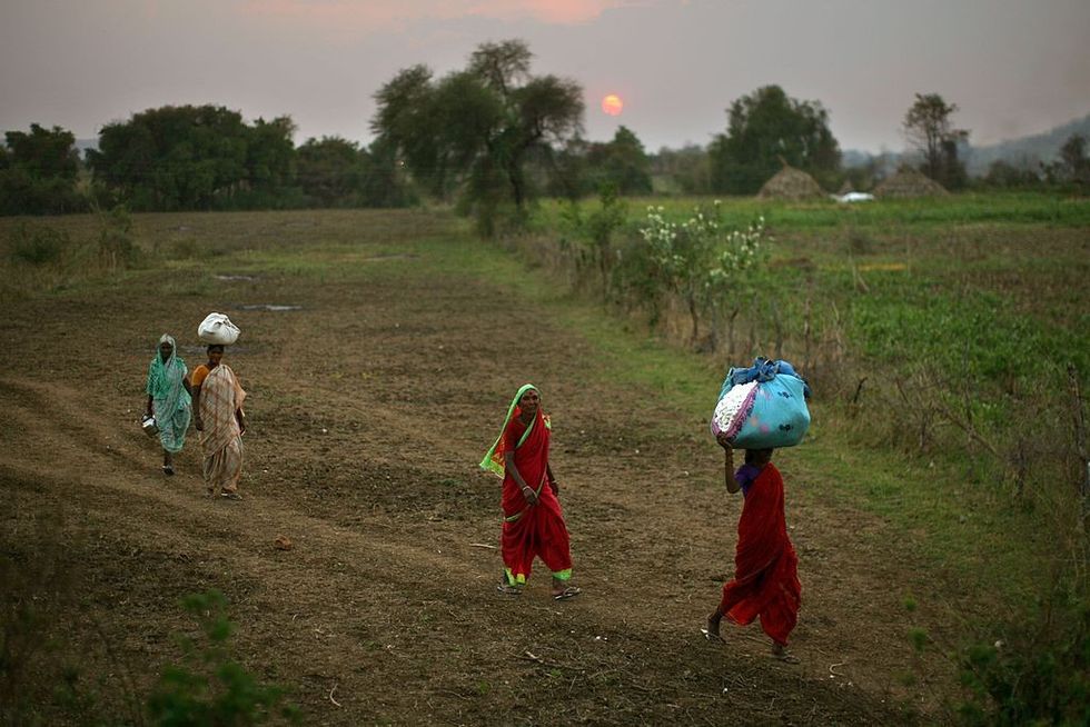 How climate crisis in India's Beed is forcing women to choose between wombs & income