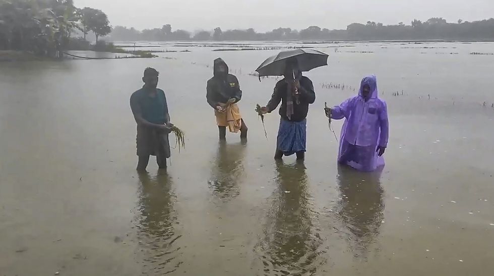 Rains continue in Tamil Nadu, standing crops hit in Cauvery delta