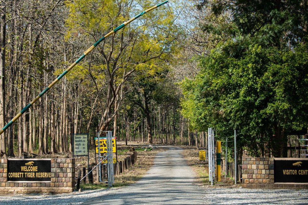 In Corbett National Park, camera traps, drones misused to snoop on women: Study