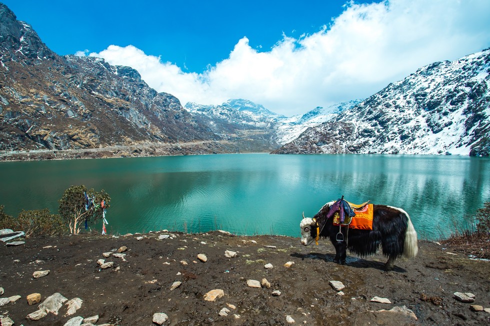 A complete guide to visiting Sikkim - The land of majestic peaks and pristine beauty