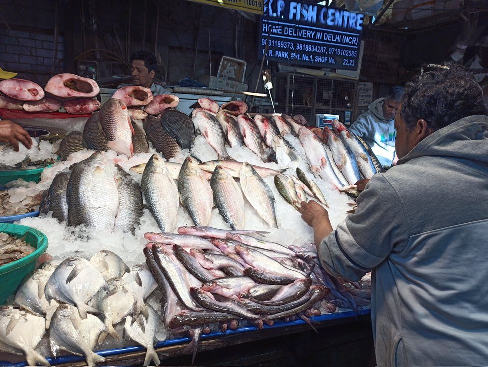 Kali temple near Bengali fish market in Delhi raises stink; Mahua Moitra, BJP trade charges