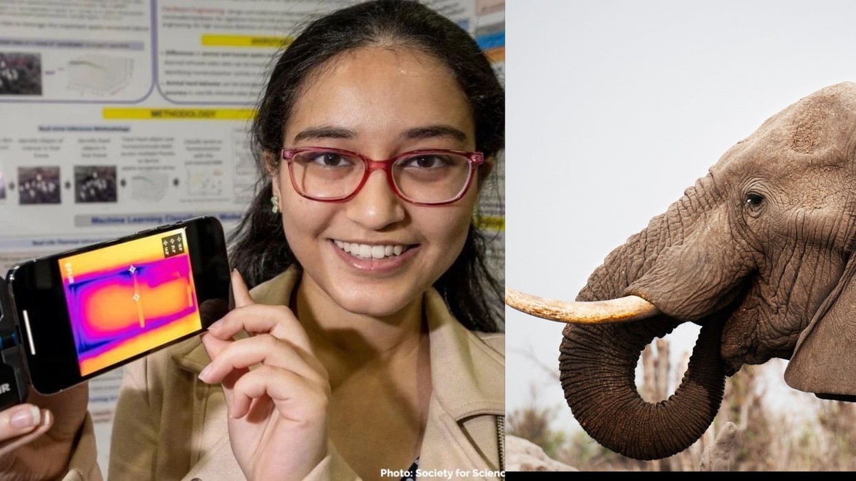 How an Indian American teen Anika Puri’s question about ivory inspired s $300 AI innovation