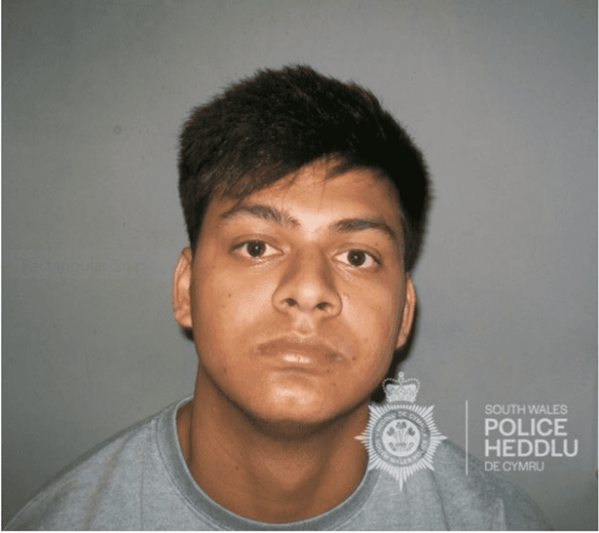 Indian student, 20, jailed for raping intoxicated woman in Cardiff
