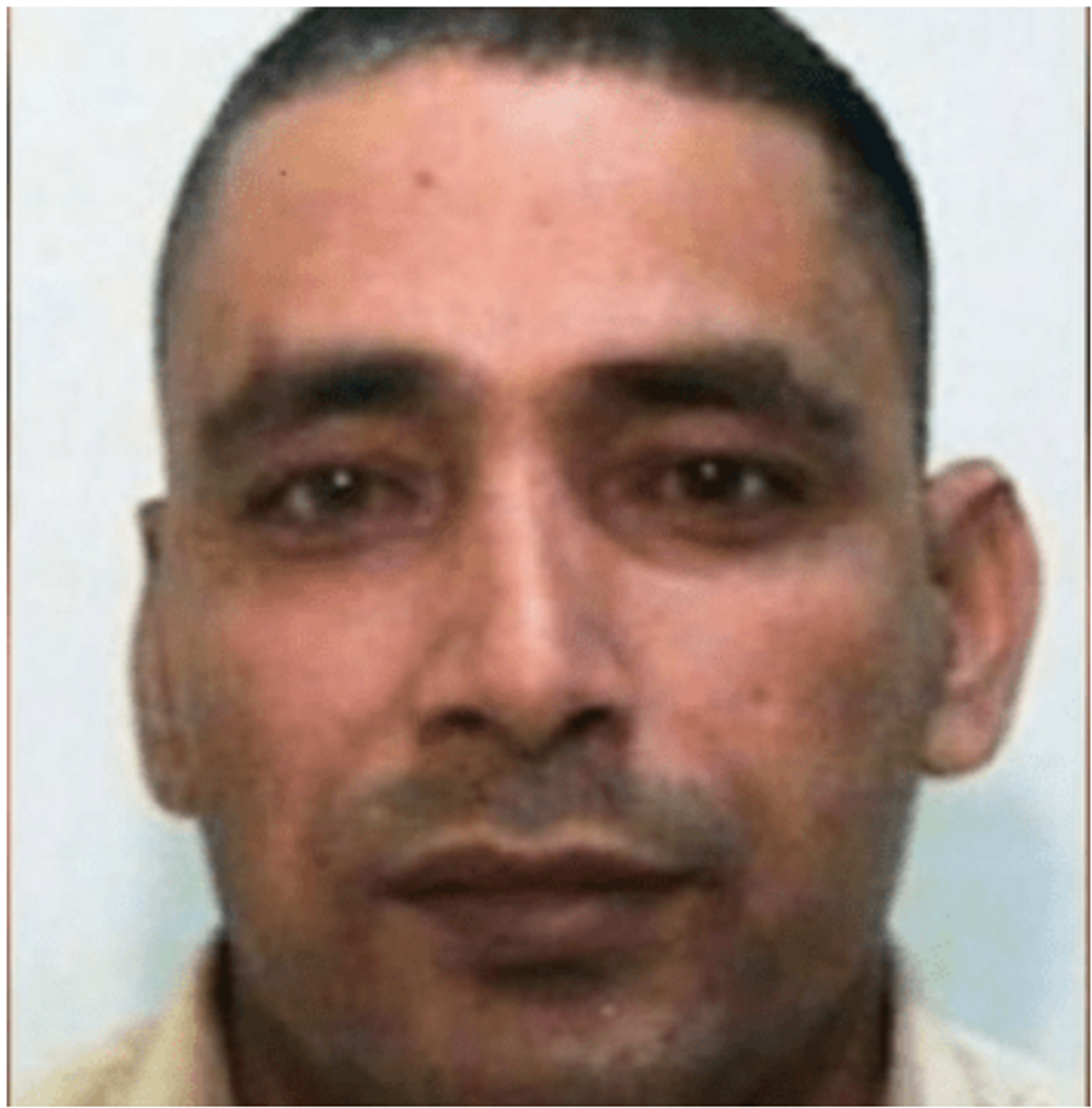 UK sex offender argues against deportation, says his son needs a ‘role model’