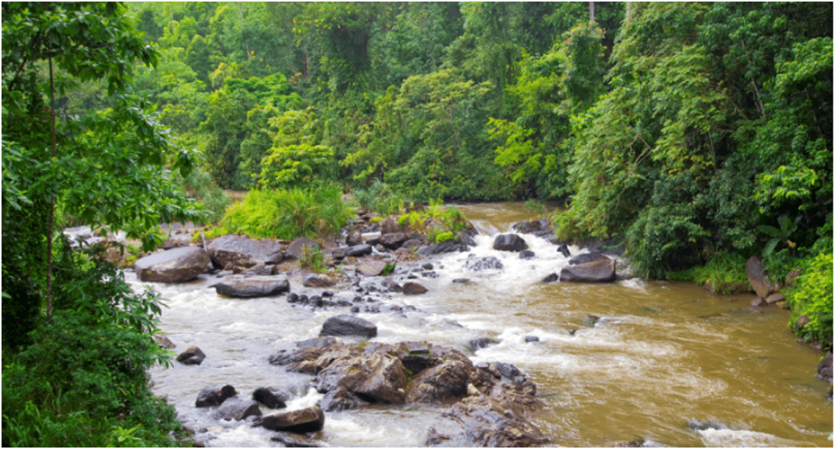 Why wifi-free ‘hotspots’ are new holiday heaven for Britons