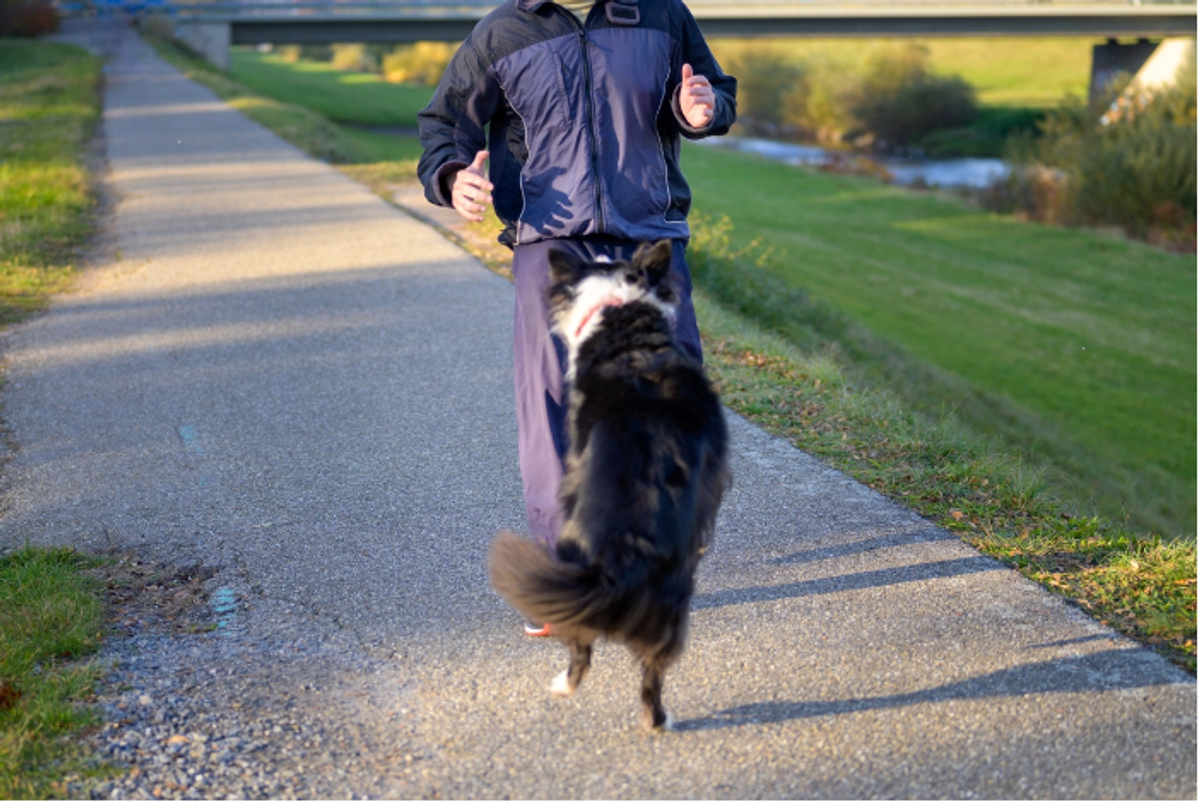 Bangladeshi man ‘mauled by dog’ while on London holiday spends £5,000 on medical expenses