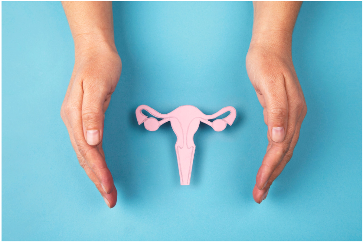 Nearly 50 per cent of Brits failed to identify where the vagina is