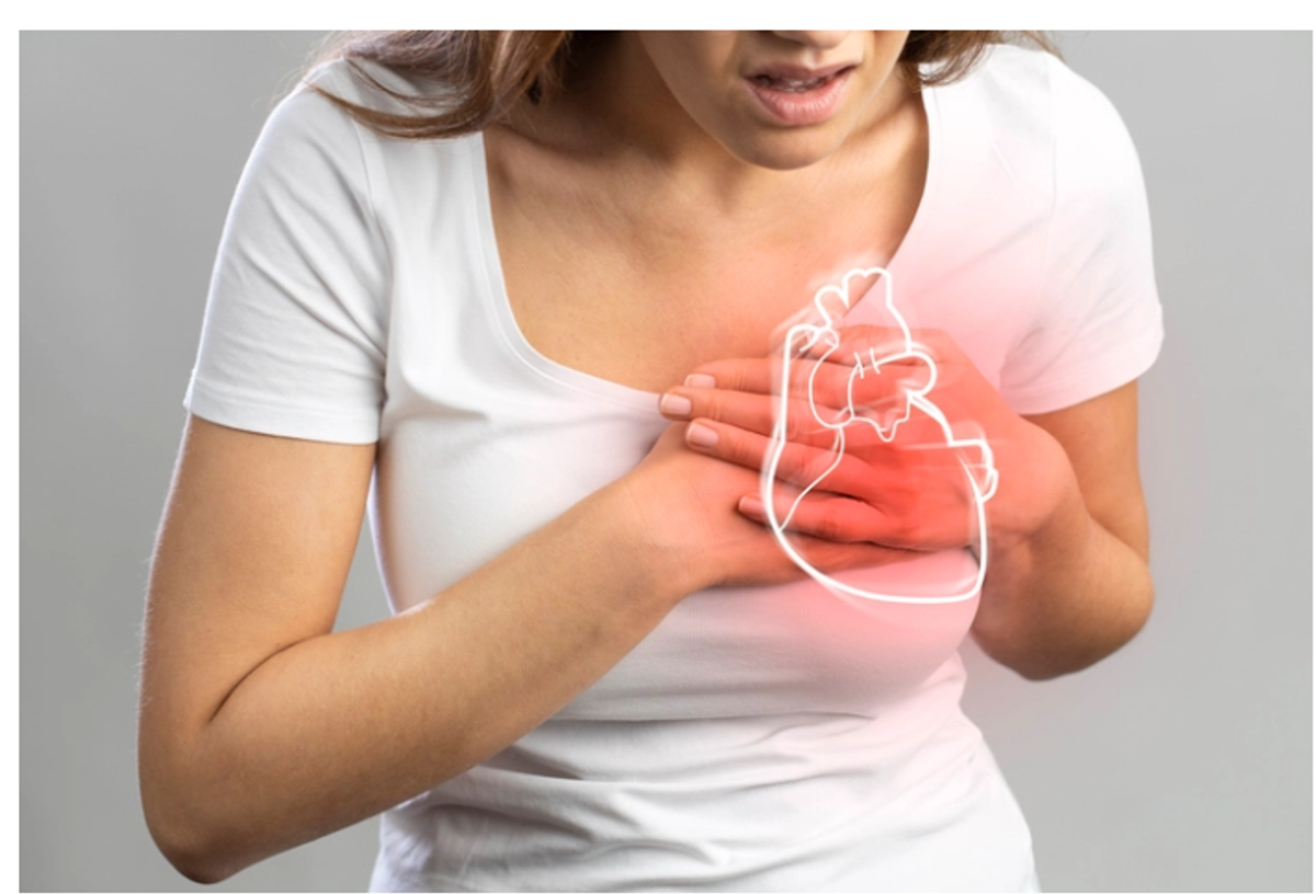 Male, female mice hearts respond differently to ‘fight or flight’ hormone, could have implication for arrhythmia, heart failure: Study