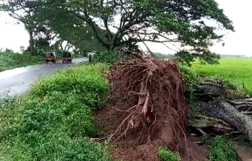 Cyclone Gulab: Rain batters Andhra, Telangana