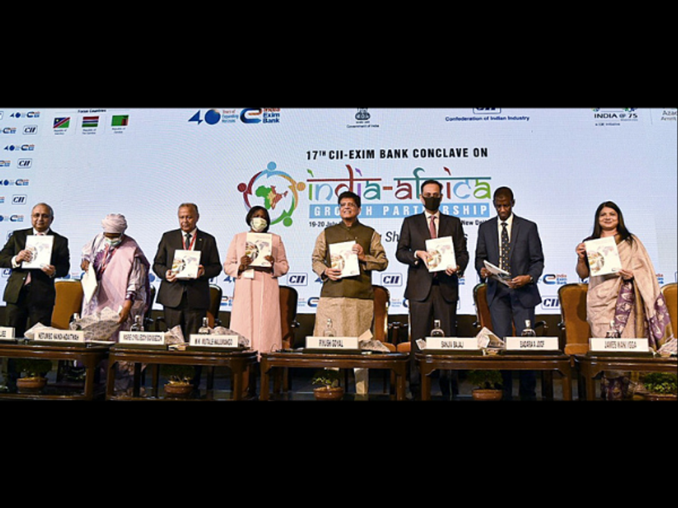 India commerce minister Piyush Goyal calls for deepening trade ties with Africa