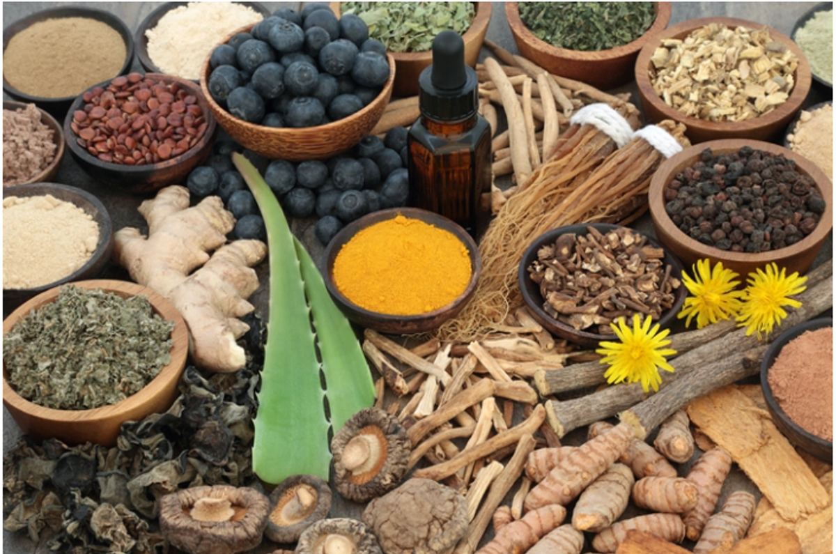 5 natural herbs that boost gut health as per experts