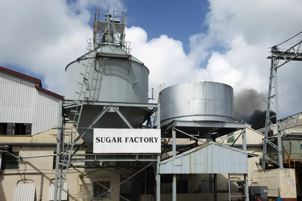 India’s sugar and soybean industries oppose US trade deal over ethanol and soybean imports