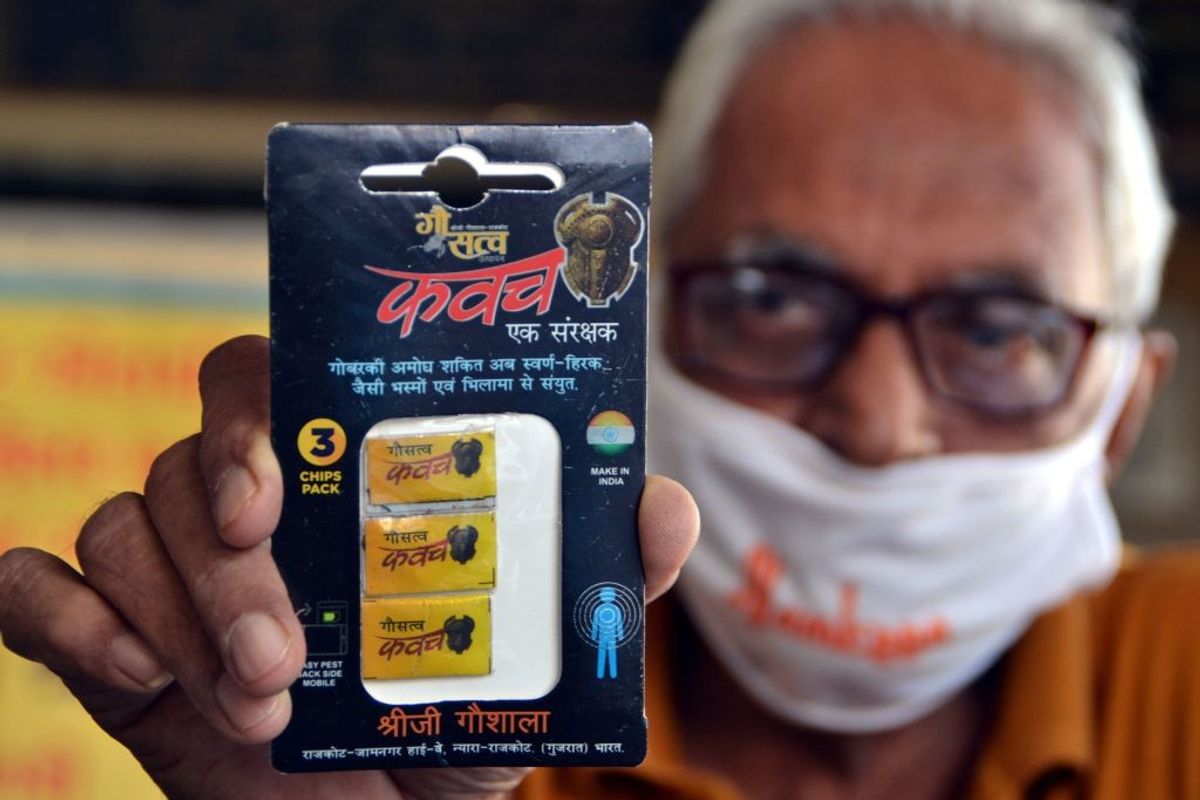 Indian agency touts cow dung ‘chip’ as radiation shield
