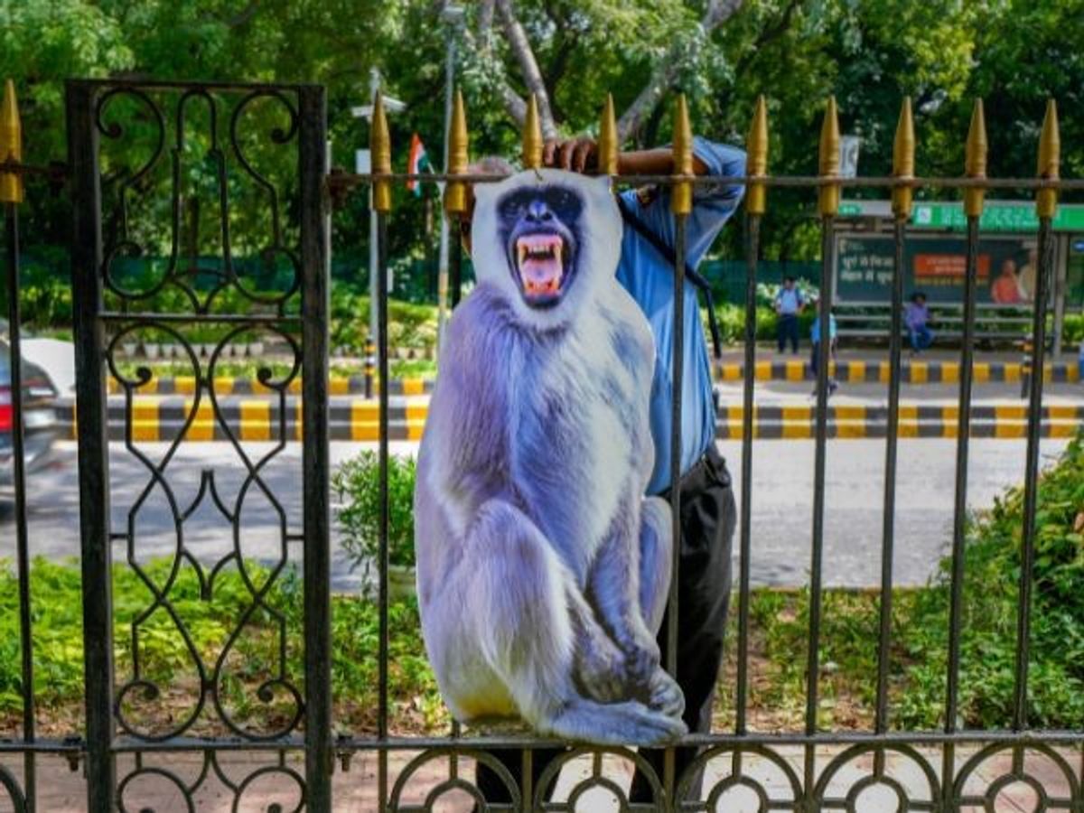India to host G20 summit 2023 in New Delhi.