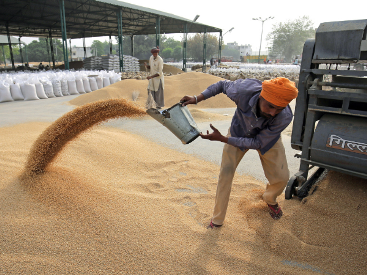 India wheat
