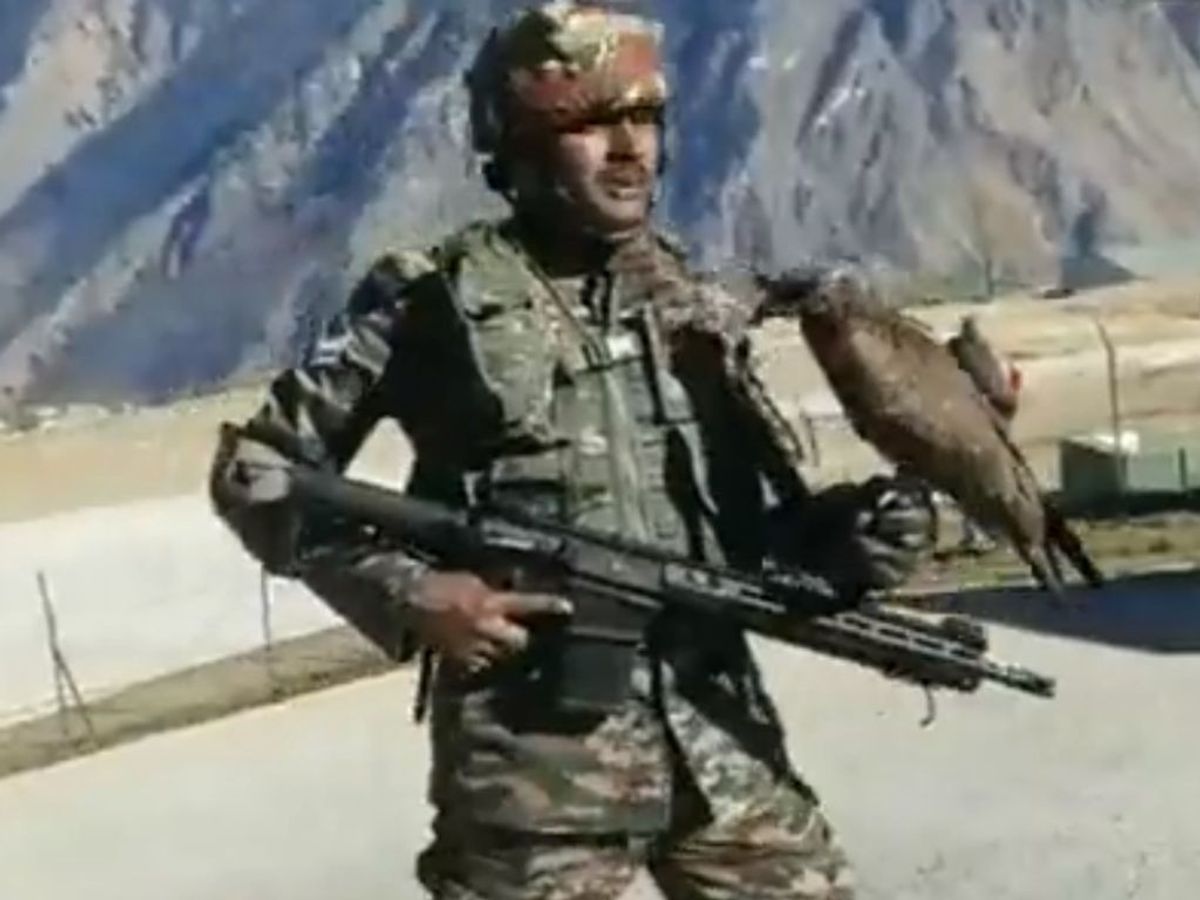 Indian Army trains predator birds to hunt down enemy drones