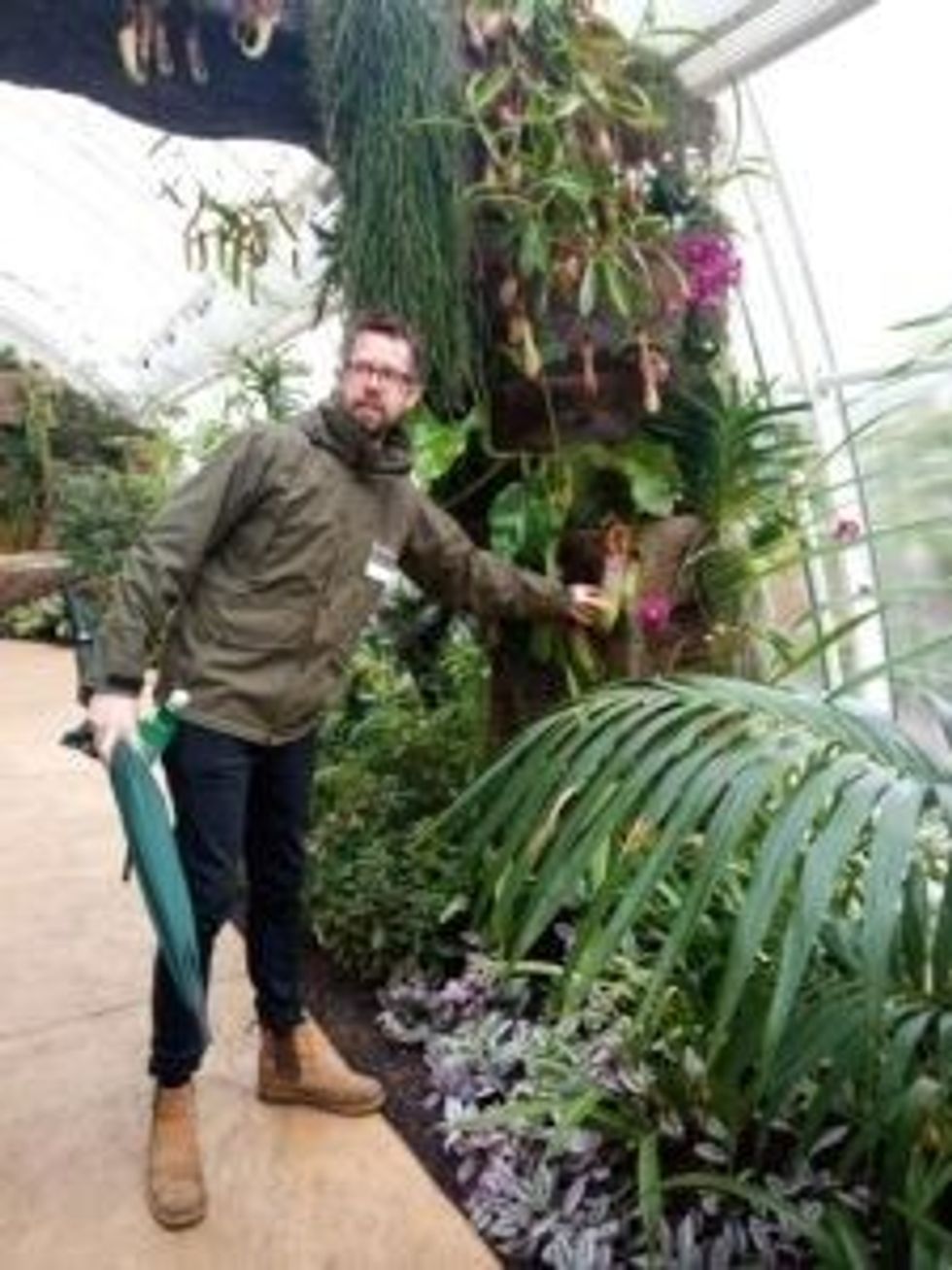 INSET 1 EE visit to RHS Wisley head curator Matthew Pottage inside orchid room 18 October 2023