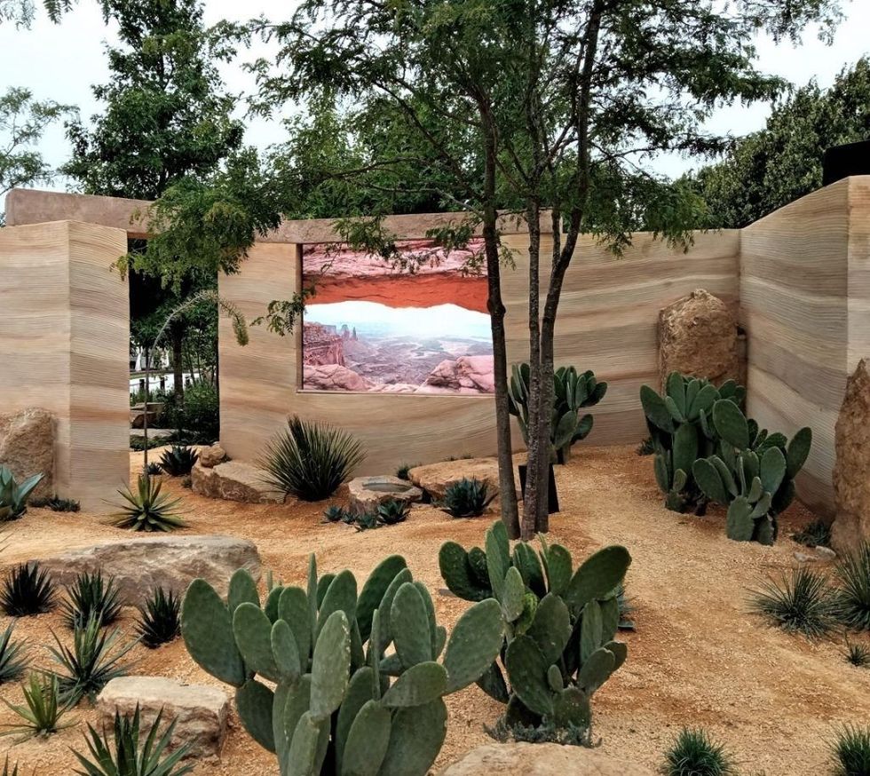 INSET Americas wild Hampton Court Palace Flower Show 2023 pic six