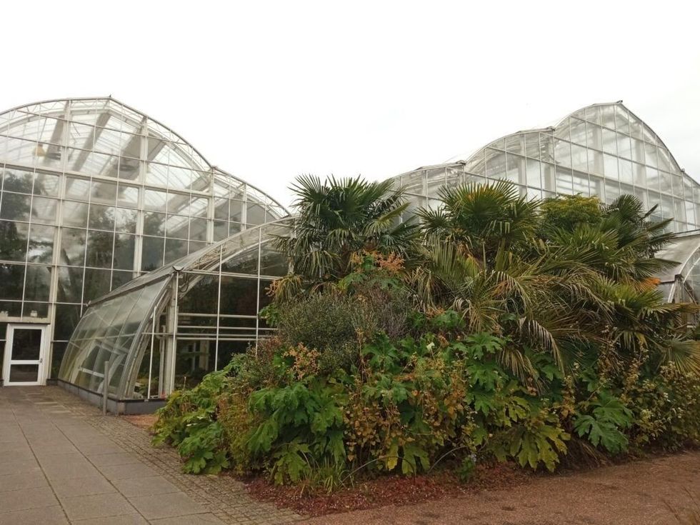 INSET EE visit to RHS Wisley glass house 18 October 2023
