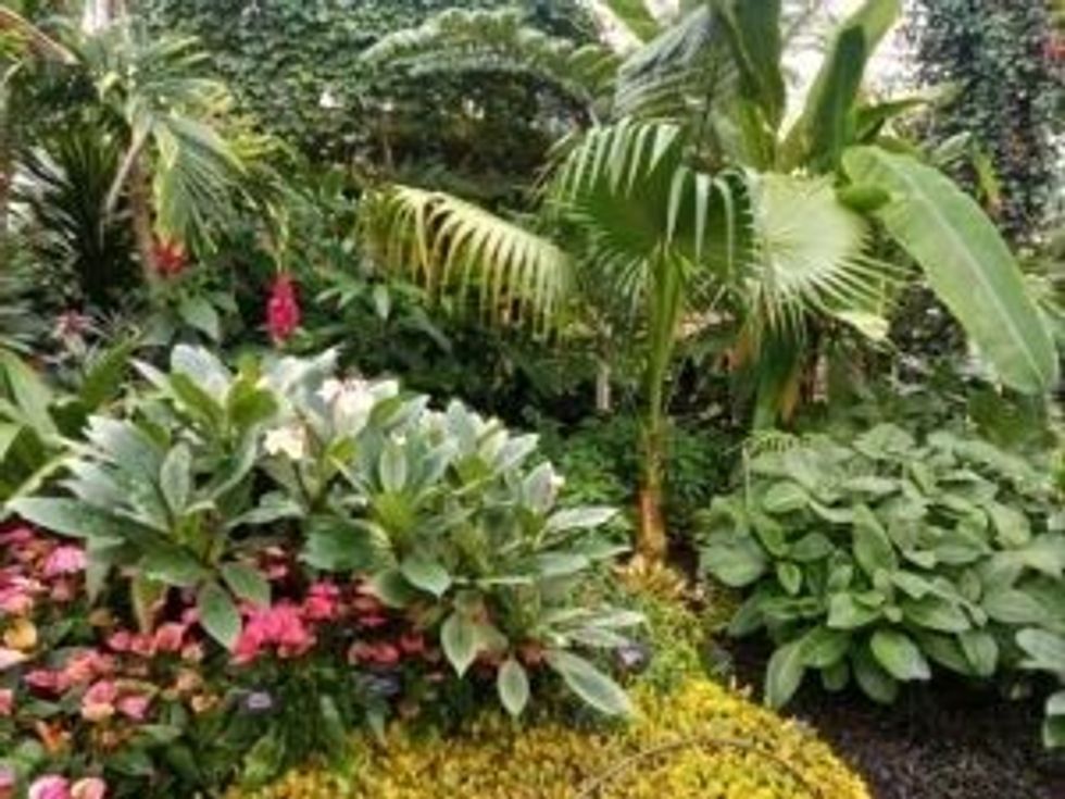 INSET EE visit to RHS Wisley inside glass house one 18 October 2023