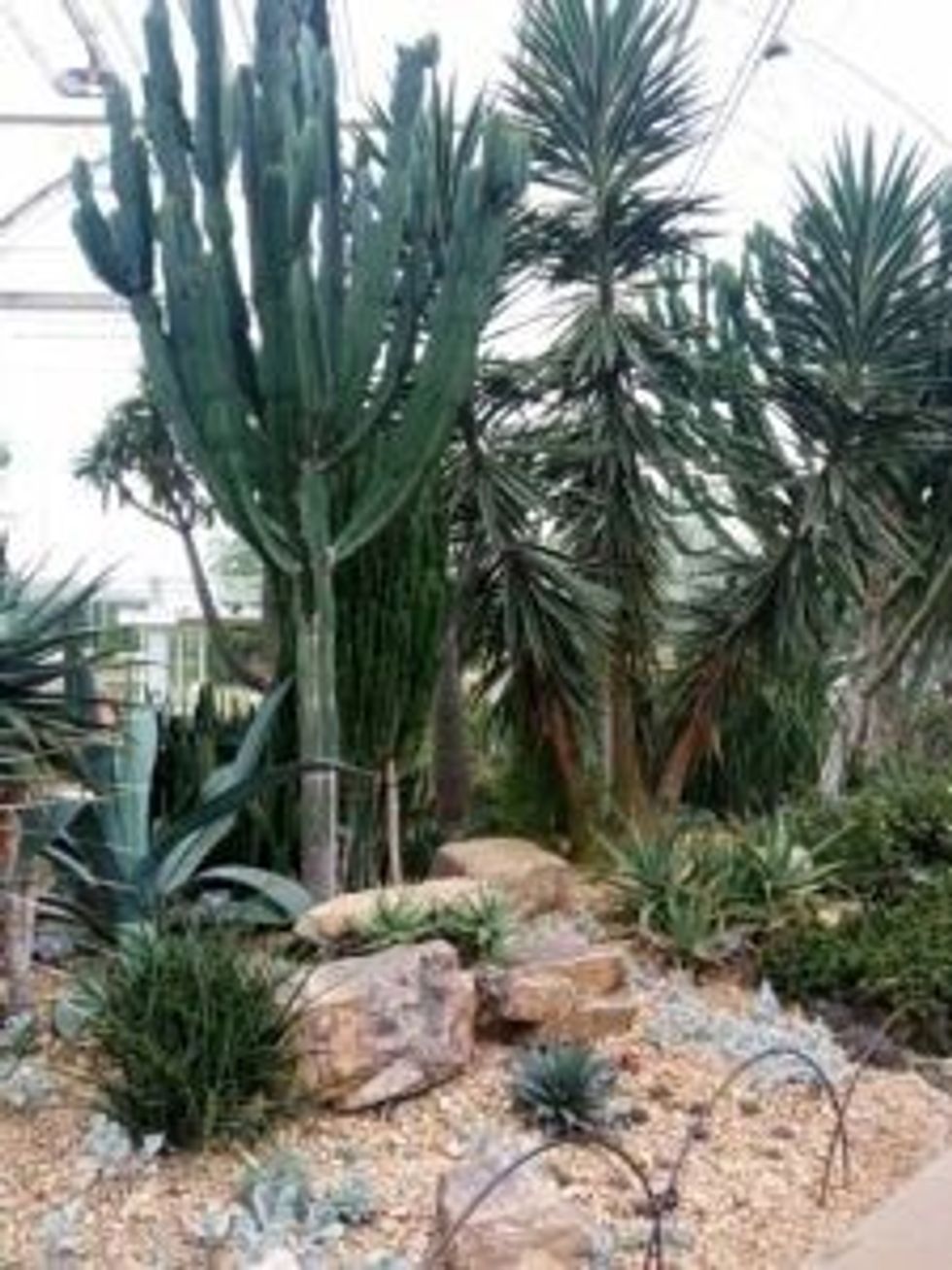 INSET EE visit to RHS Wisley inside glass house two18 October 2023