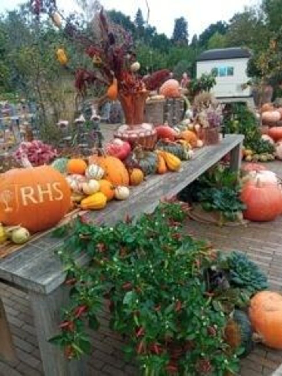 INSET EE visit to RHS Wisley produce from Wisley world food garden 18 October 2023