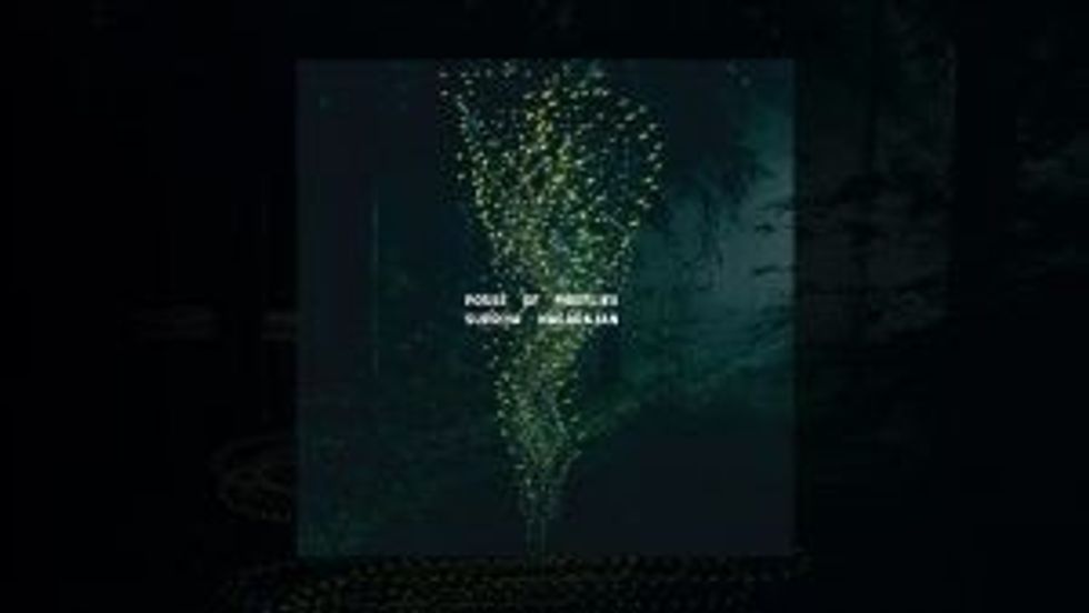 Lead inset Posse of Fireflies 002